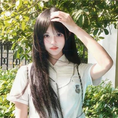 爱情森林